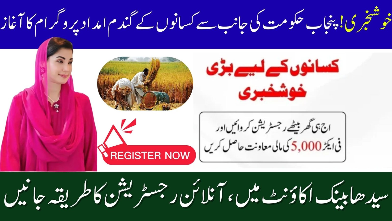 CM Punjab Wheat Support Program